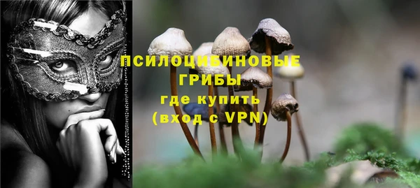 шишки Пестово