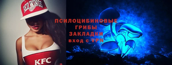 амф Пересвет