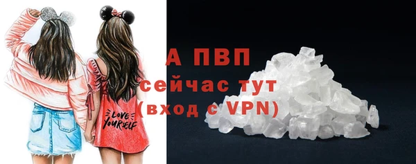 шишки Пестово