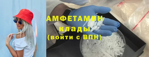 шишки Пестово