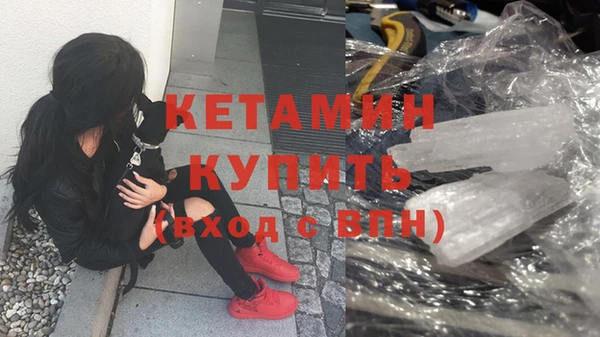 шишки Пестово