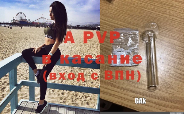 шишки Пестово