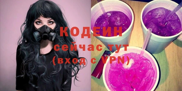 шишки Пестово