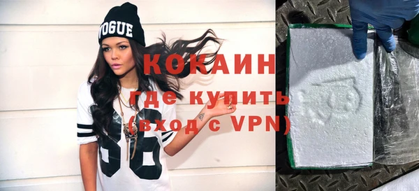 шишки Пестово