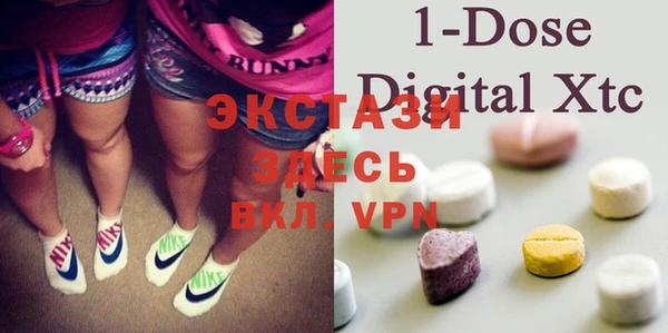 шишки Пестово