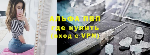 шишки Пестово